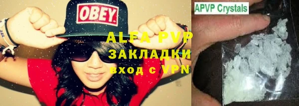 шишки Арсеньев