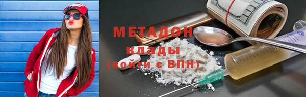 шишки Арсеньев