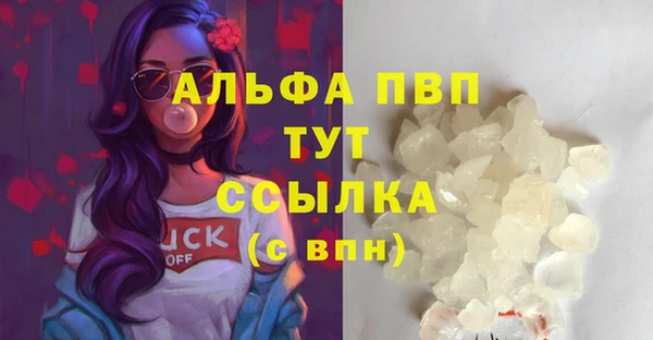 шишки Арсеньев