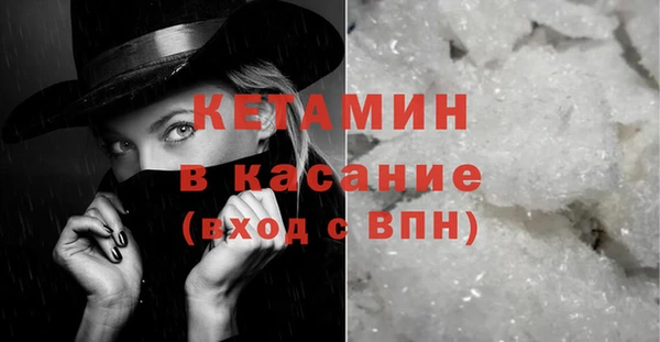 шишки Арсеньев