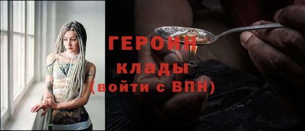 шишки Арсеньев