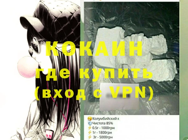 шишки Арсеньев