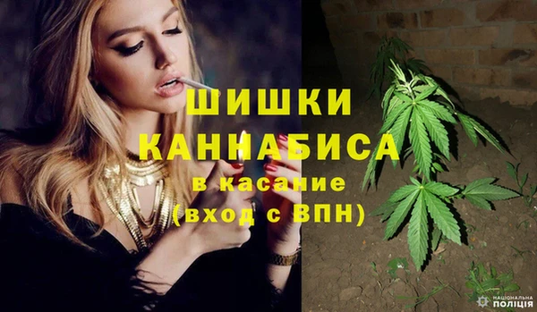 шишки Арсеньев