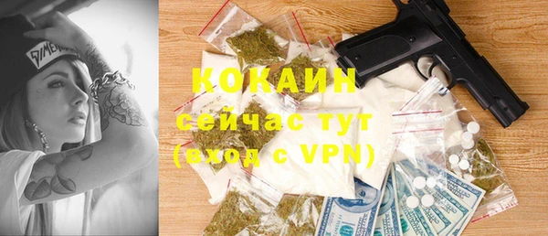 шишки Арсеньев