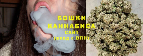 шишки Арсеньев