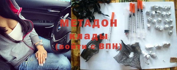 шишки Арсеньев