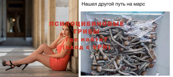 трава Аркадак
