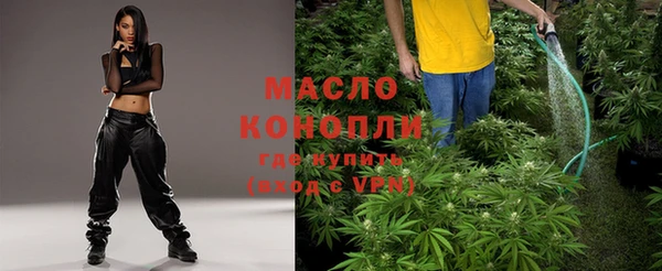 шишки Арсеньев