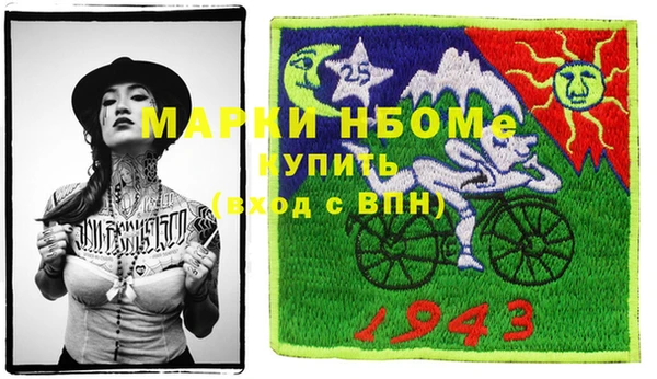 шишки Арсеньев