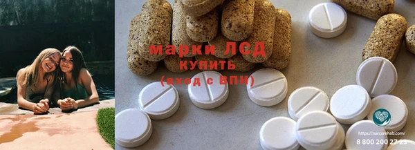 трава Аркадак