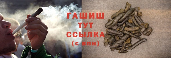 шишки Арсеньев